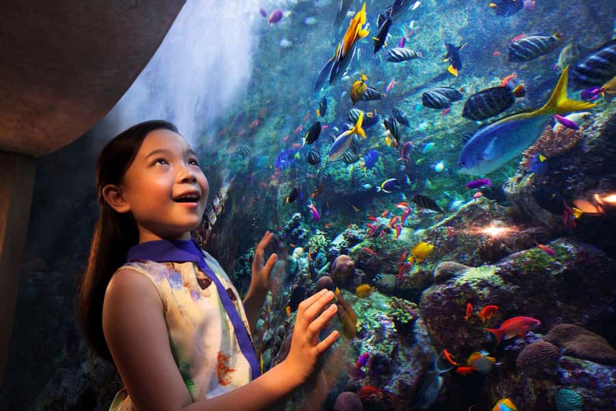 Dubai: Lost Chambers Aquarium Entry Ticket - Timing and How Long to Plan for Inside the Aquarium