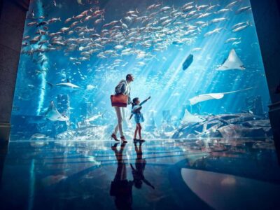 Lost Chambers Aquarium Entry Ticket