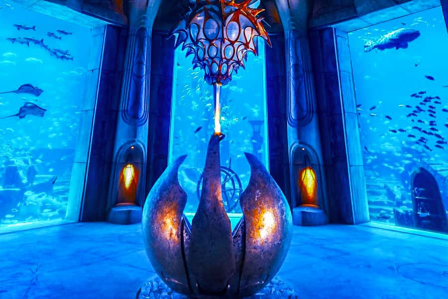Dubai: Lost Chambers Aquarium Entry Ticket - The Daily Program: Shark, Ray, Show, and Grouper Talks