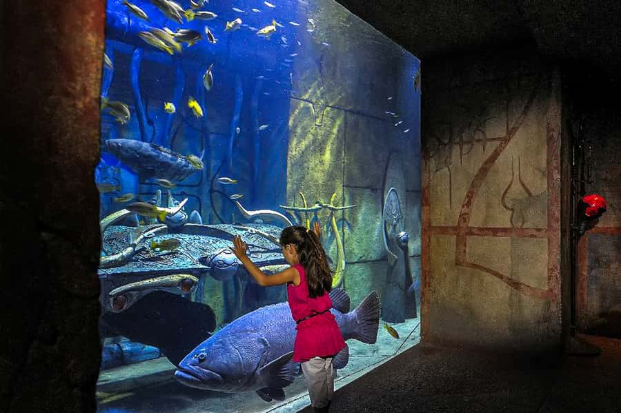 Dubai: Lost Chambers Aquarium Entry Ticket - Snacks, On-Site Restaurants, and Small Comforts That Matter