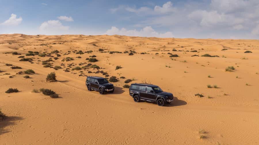 Dubai: Luxury Balloon Flight with Michelin-Curated Breakfast - The Final Desert Loop: Camel Ride and Wildlife Sightings