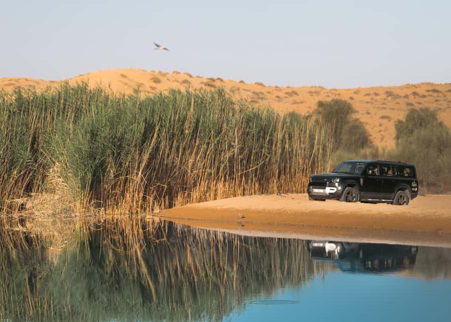 Dubai: Luxury Safari with Michelin-Curated 5-Course Dinner - Desert Nature Stops: Ghaf Tree Forest and Remote Lake Views