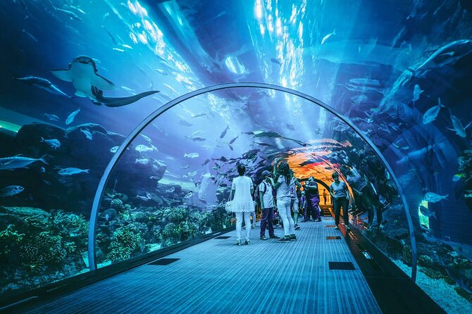 Dubai Mall Aquarium and Underwater Zoo Ticket - What This Ticket Includes Inside Dubai Mall