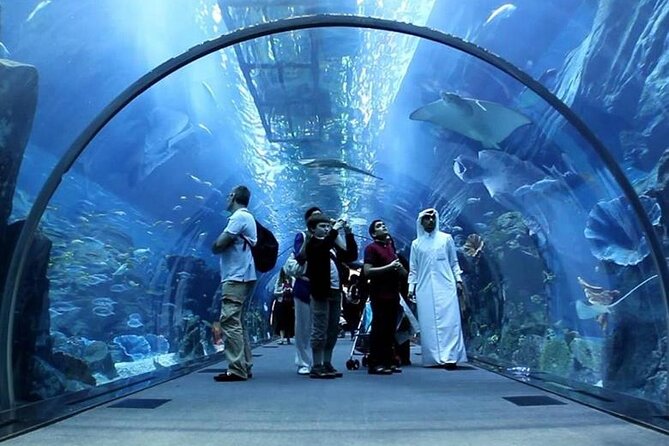 Dubai Mall Aquarium and Underwater Zoo Ticket - The Aquarium Tank: 10 Million Liters and 33,000 Creatures