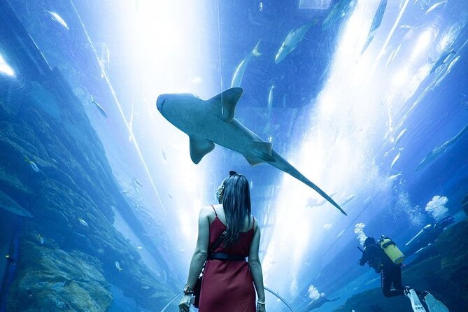 Dubai Mall Aquarium and Underwater Zoo Ticket - Timing Your Visit for 1 to 4 Hours Without Stress