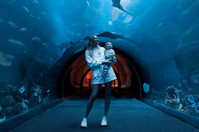 Dubai Mall Aquarium and Underwater Zoo Ticket - Price and Value: Is $69.78 Worth It?