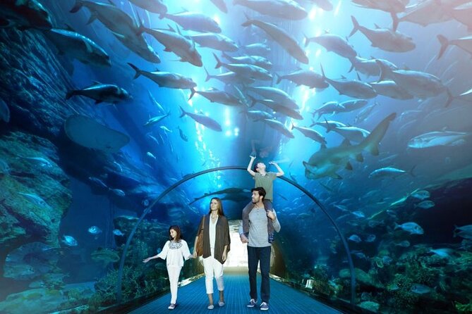 Dubai Mall Aquarium and Underwater Zoo Ticket - Dubai Mall: Why This Aquarium Works Even in a Big Mall