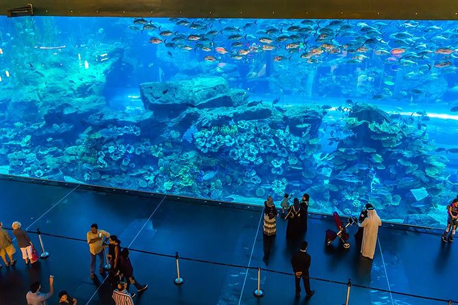 Dubai Mall Aquarium & Underwater Zoo with Penguin Cove Tickets - Timing for Dubai Mall Aquarium: Beat the Crowds, Keep the Heat in Check