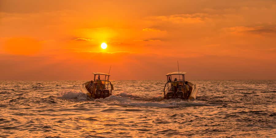 Dubai Marina: Guided Sightseeing Tour by Speedboat - Skydive Dubai, a Quick Detour Moment