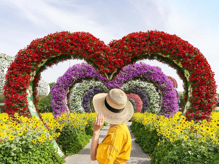 Dubai: Miracle Garden Entry Ticket with Hotel Transfer - Key Takeaways Before You Go