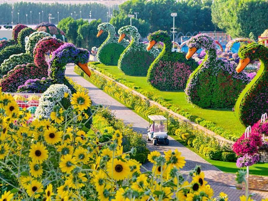 Dubai: Miracle Garden, Global Village, and Dubai Frame - Why This Miracle Garden, Global Village, Dubai Frame Day Works