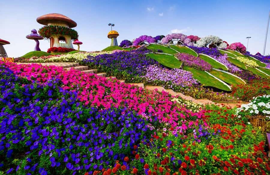 Dubai: Miracle Garden, Global Village, and Dubai Frame - Dubai Frame: Skyline Perspective (and the Queue Reality Check)