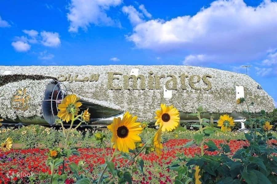 Dubai: Miracle Garden, Global Village, and Dubai Frame - Price and Value: Is $119 a Smart Deal?