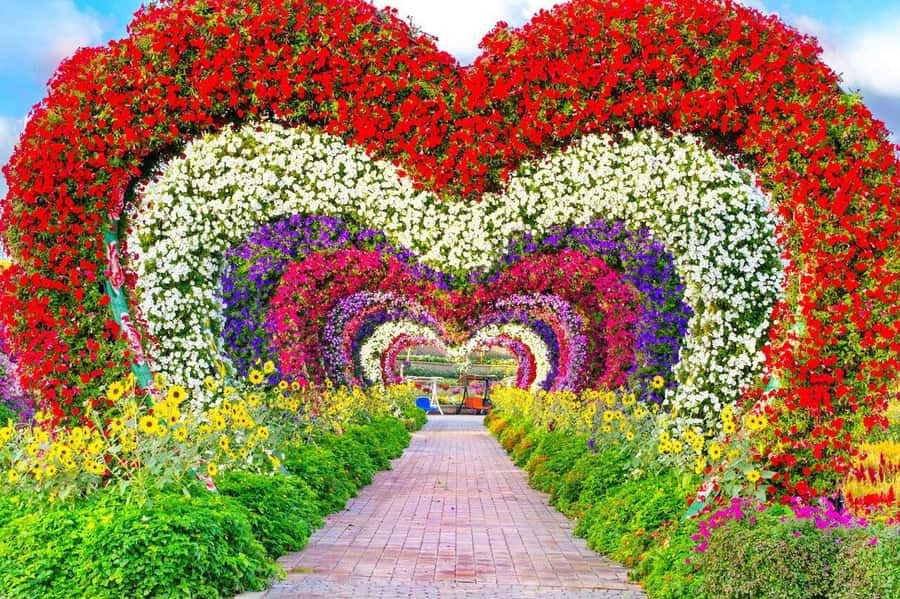 Dubai: Miracle Garden, Global Village, and Dubai Frame - Hotel Pick-Up to Miracle Garden: The Part Where Comfort Pays Off