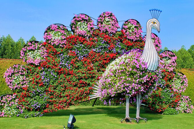 Dubai: Miracle Garden Ticket With Transfer - Photo tips that work in the garden heat