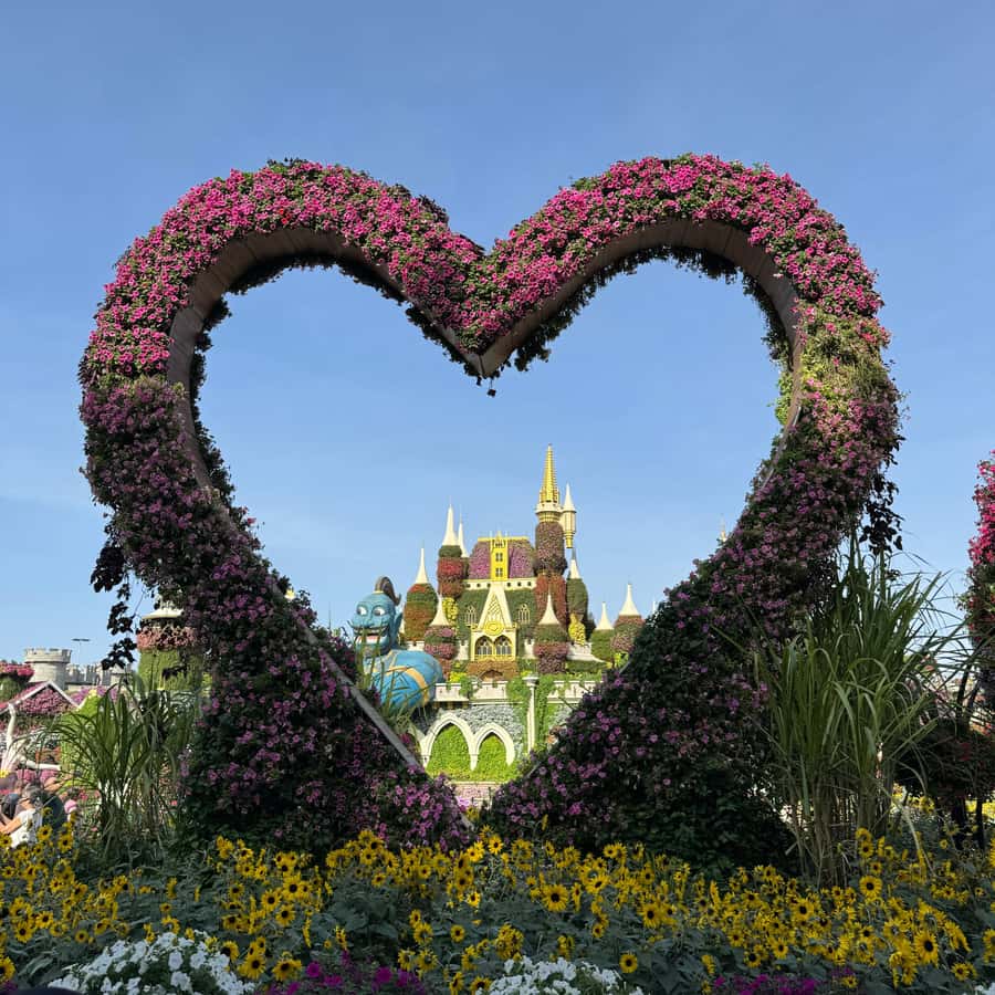 Dubai: Miracle Garden Ticket With Transfer - Who this experience fits best (and who should rethink it)