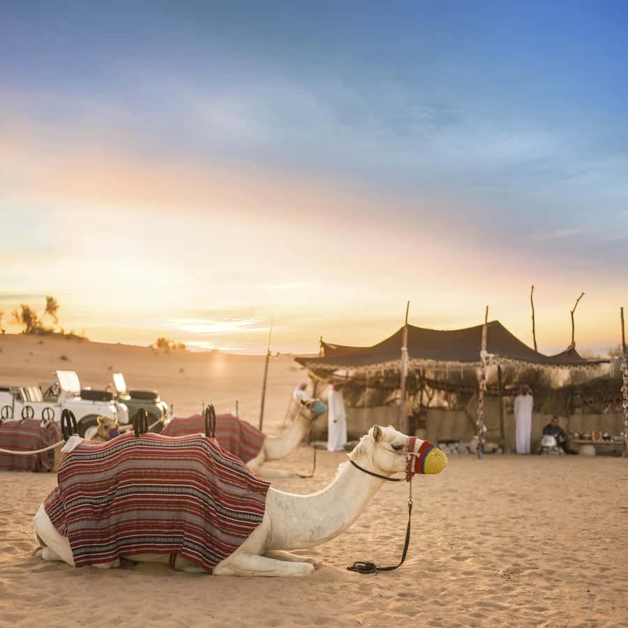 Dubai: Morning Bedouin Culture Safari, Traditional breakfast - Key points at a glance