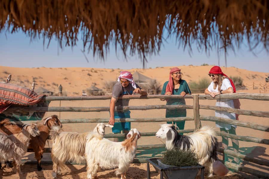 Dubai: Morning Bedouin Culture Safari, Traditional breakfast - Traditional dance, a Bedouin village, and learning daily survival