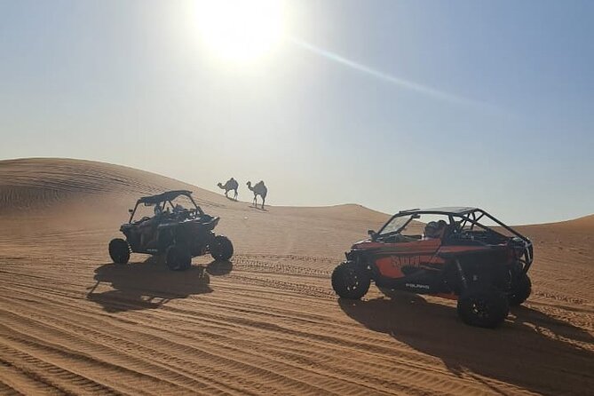 Dubai Morning Buggy Dunes Safari with Sandboarding & Camel Ride - Who This Safari Suits Best, and Who Might Think Twice