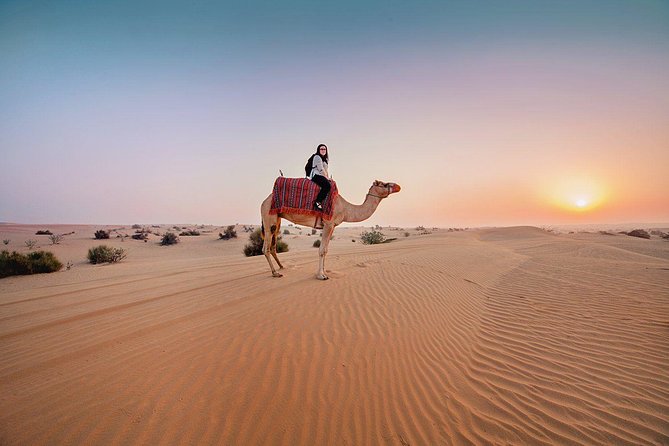 Dubai Morning Desert Safari: Camel Ride & Sandboarding! - Key highlights you’ll feel right away