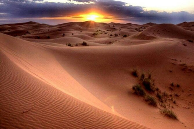 Dubai Morning Desert Safari: Camel Ride & Sandboarding! - Sandboarding: the desert version of a fun day on slopes