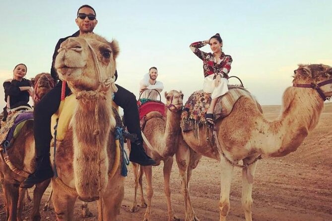Dubai Morning Desert Safari: Camel Ride & Sandboarding! - Who this Dubai morning desert safari suits best