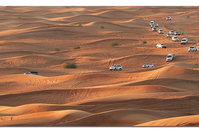 Dubai Morning Desert Safari: Camel Ride & Sandboarding! - Tips to make your morning go smoothly