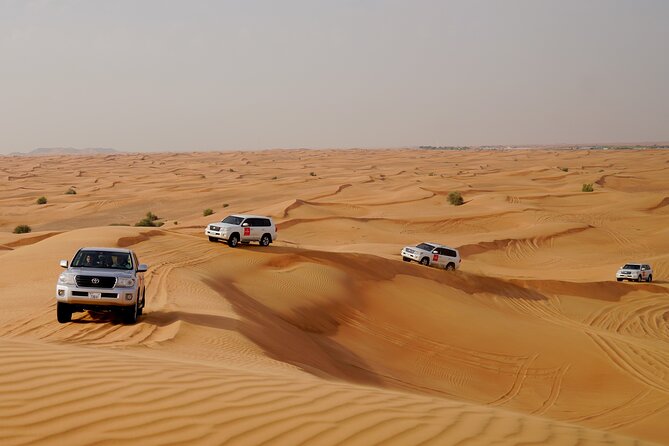 Dubai Morning Desert Safari with Quad Biking & More Activities - Morning vs evening: which timing fits your style