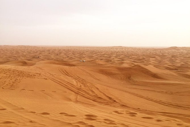 Dubai Morning Desert Small-Group Tour with Dune Bash - Why the morning desert timing is the smart choice