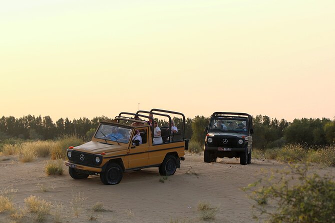 Dubai: Morning Heritage Safari by Vintage G Class & Al Marmoom Oasis - The Desert Tour Segment: What You Learn Before the Village
