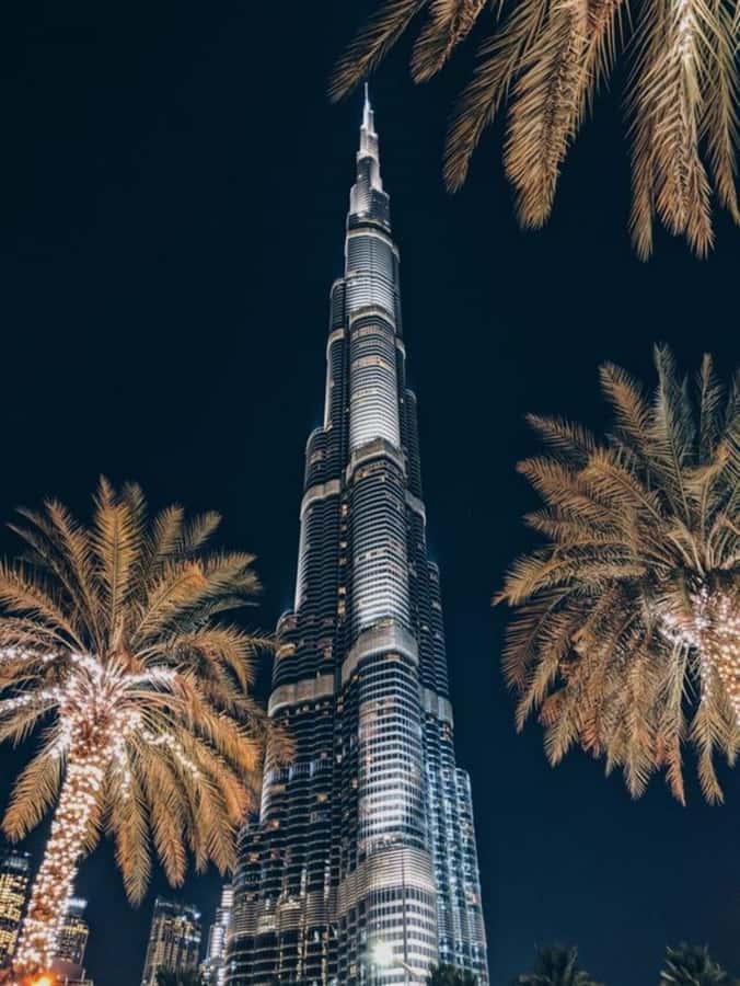 Dubai: Nighttime Guided City Tour by Van & Blue Water Island - Palm Jumeirah at Night, an Engineering Shape You Can Actually See