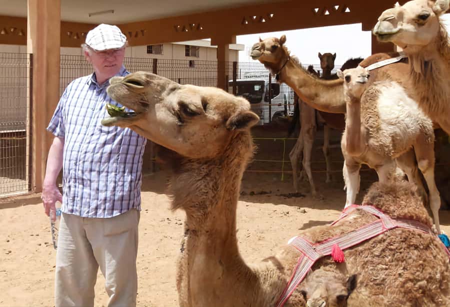 Dubai: Old City Walking Tour with Abra Ride - Old Dubai on foot, with the creek ride that makes it click