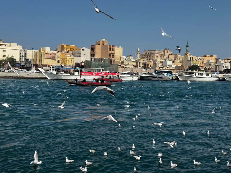 Dubai: Old Town Walking Tour with Abra Cruise & Street Food - Al Fahidi District: coffee museums, old mosques, and why the buildings look different