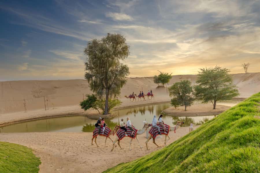 Dubai: Overnight Safari with Luxury Dome Stay & Stargazing - Getting from Dubai to the reserve, and why that first drive matters
