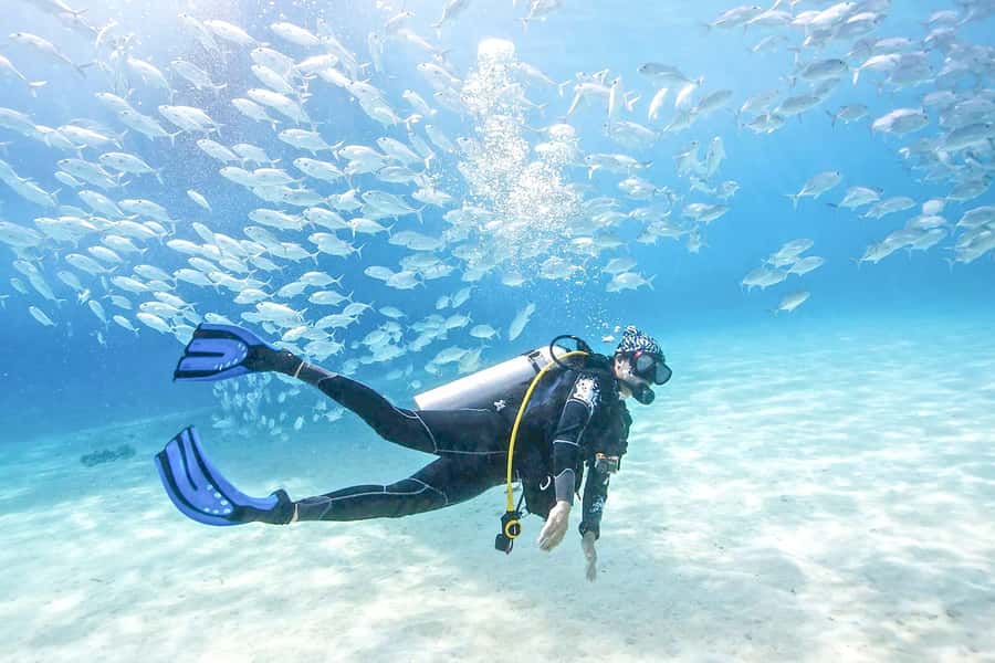 Dubai: PADI Basic Scuba Diving Course - Where Jumeirah 3 beach fits into your training
