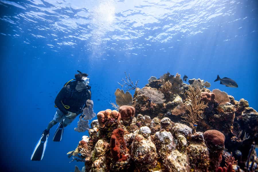 Dubai: PADI Open Water 18-Meter Diving Certification - Why the 18-meter certification matters for your future scuba plans