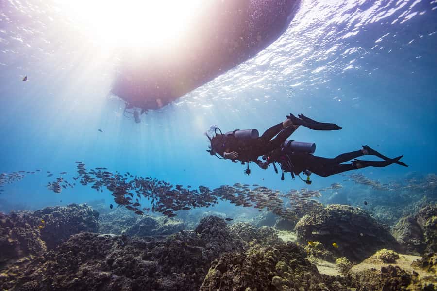 Dubai: PADI Open Water 18-Meter Diving Certification - Price and value: $446 per person, plus what you pay separately