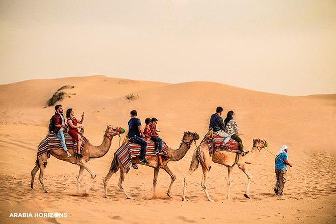 Dubai Premium Desert Safari with Live shows & Gourmet Dinner - Key Highlights You Should Know Before You Go