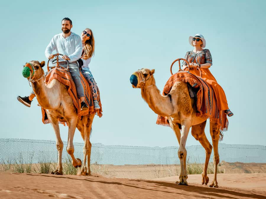 Dubai: Premium Red Dune Safari with Sandboarding & BBQ - 40 Minutes of Dune Bashing: The Main Event, Plus a Safety Reality Check