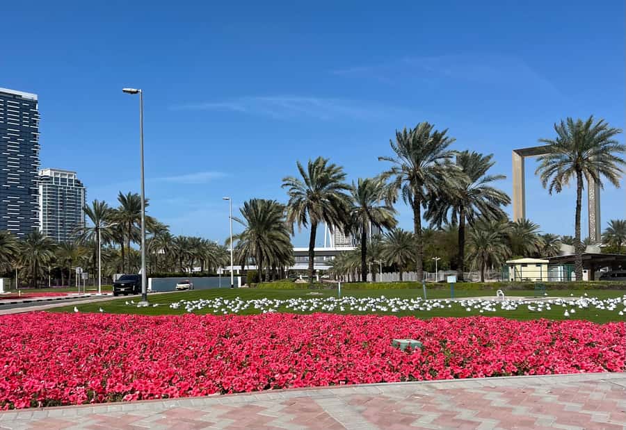 Dubai: Private City Tour with Burj Khalifa Levels 124/125 - A 6-hour Dubai Day That Feels Carefully Designed