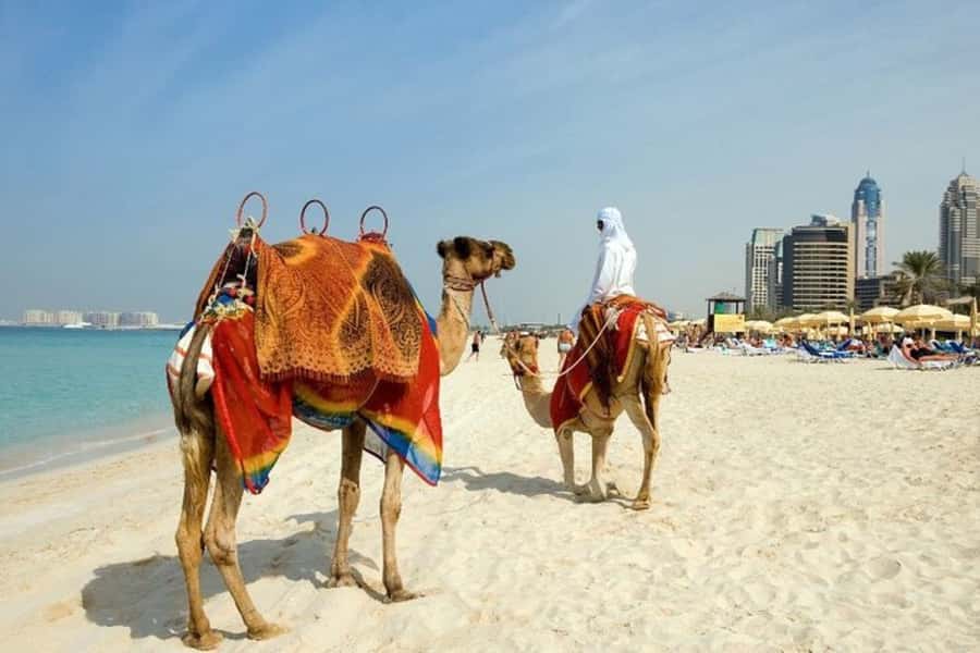 Dubai: Private custom tour with a local guide - Getting oriented with a guide who designs your day