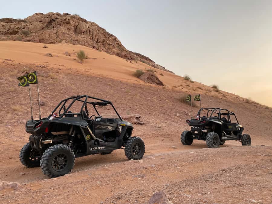 Dubai: Private Desert Buggy Tour, Camel Ride & Sandboarding - Where the Drive Ends, and Camel and Sandboarding Begin