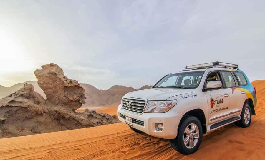 Dubai: Private Desert Day Tour and Wadi Shawka Pool Visit - Camel Rock and Fossil Rock: desert formations with a sense of place