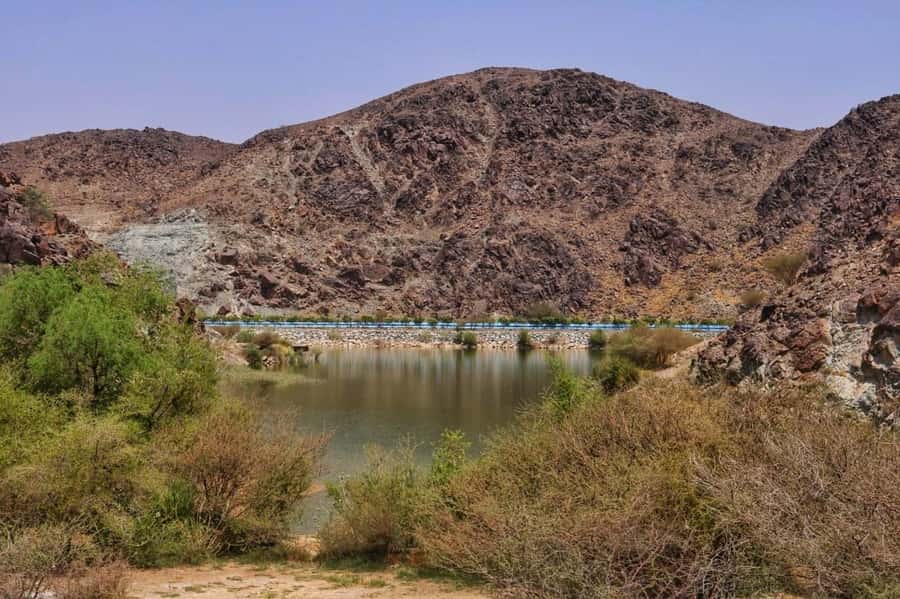 Dubai: Private Desert Day Tour and Wadi Shawka Pool Visit - Wadi Shawka pools: nature break, canyon-like trenches, and a real water check