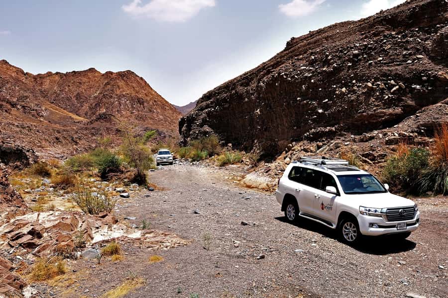 Dubai: Private Desert Day Tour and Wadi Shawka Pool Visit - Who this private desert and wadi day fits best