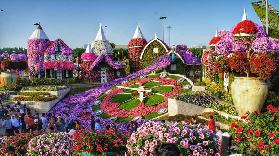 Dubai: Private Dubai Flora and Fauna Trip - How This Private Flora and Fauna Trip Works (In Plain English)