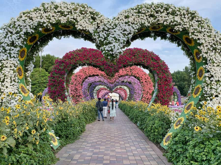 Dubai: Private Dubai Flora and Fauna Trip - Who This Tour Suits Best (And Who Should Think Twice)