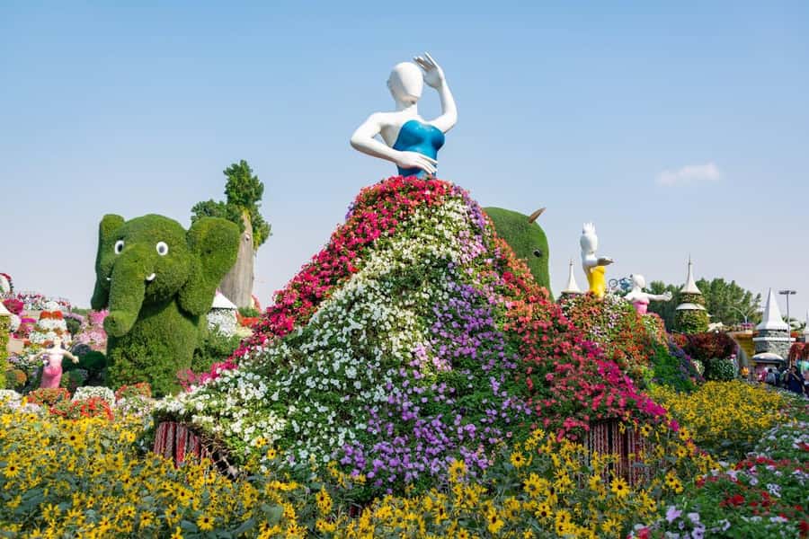 Dubai: Private Dubai Flora and Fauna Trip - Comfort Notes That Actually Matter on the Day