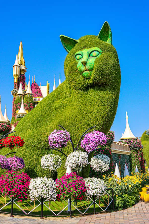 Dubai: Private Dubai Flora and Fauna Trip - Should You Book This Private Dubai Flora and Fauna Trip?