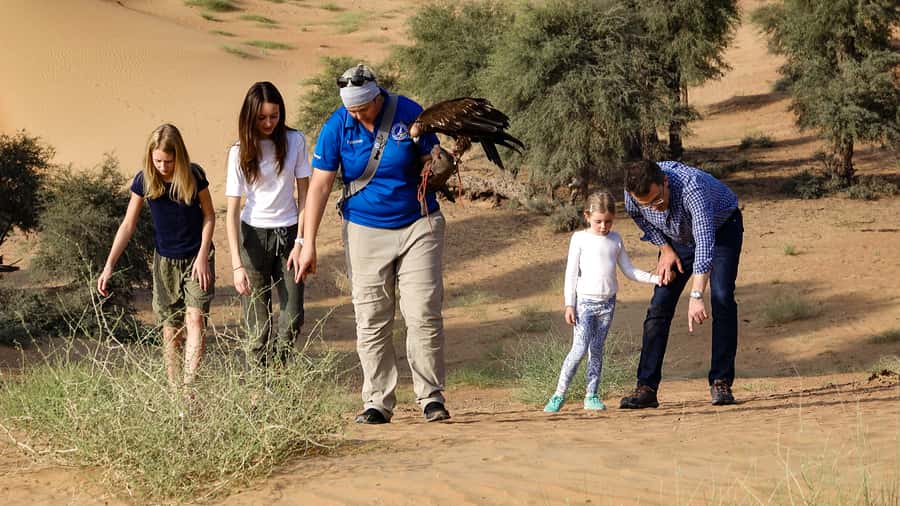 Dubai: Private Falconry Safari - Key Highlights Worth Knowing